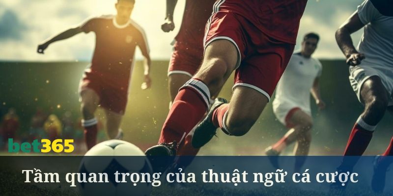 Giải thích tổng quan về cá độ bóng đá là gì?